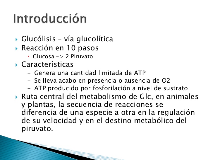 Fase de preparación
 