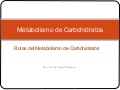 Rutas del metabolismo carbohidratos