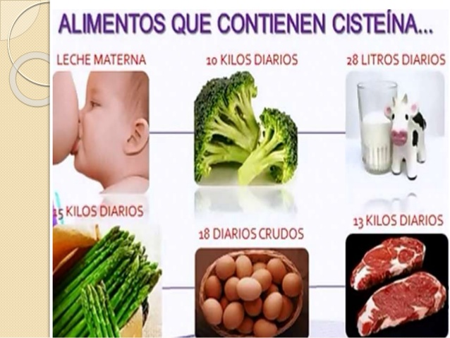  La cisteína como aminoácido no es
capaz de sobrevivir el viaje de la boca
a las células (donde es necesario), ya
que al ...