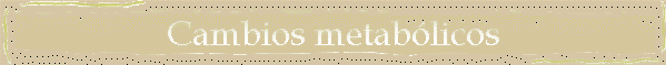 Cambios metab�licos