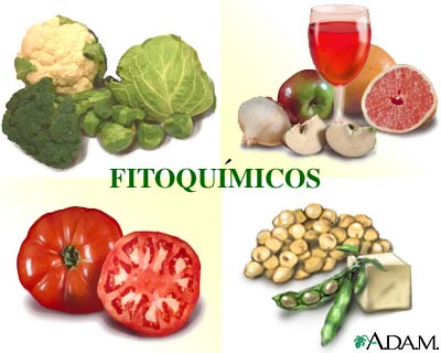 Fitoqu�micos