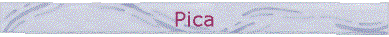 Pica