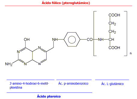 �cido f�lico (vitamina B9)